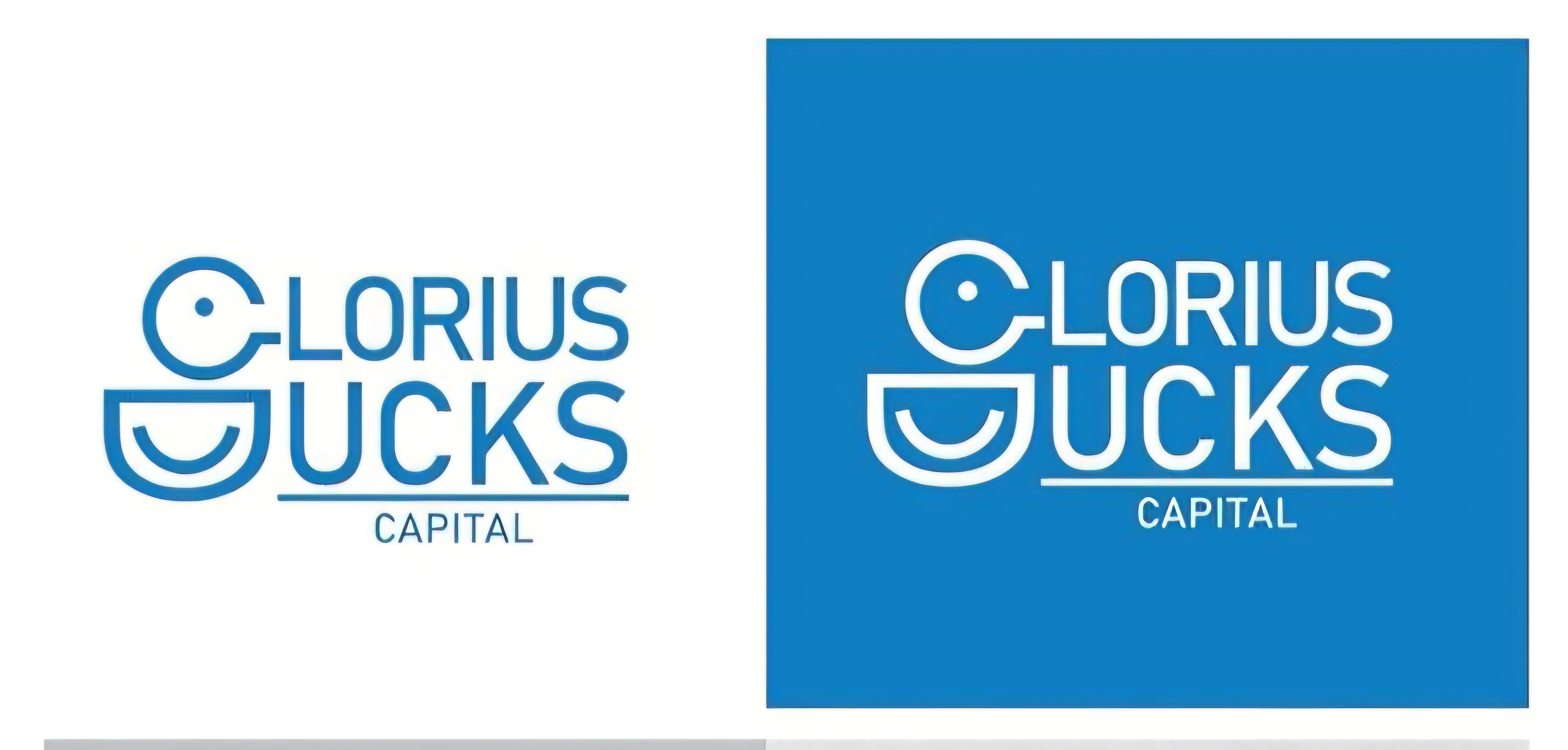 CLURIUS DUCKS CAPITAL — brand identity
